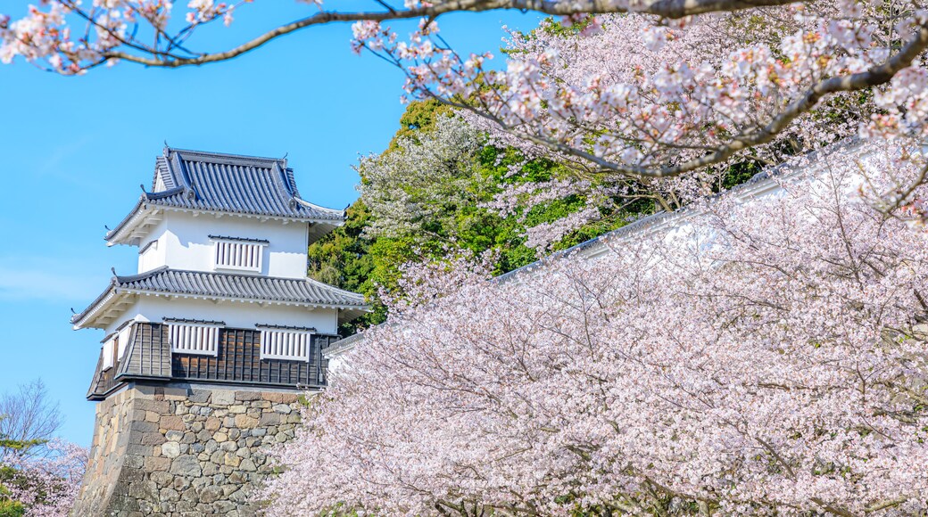 Omura