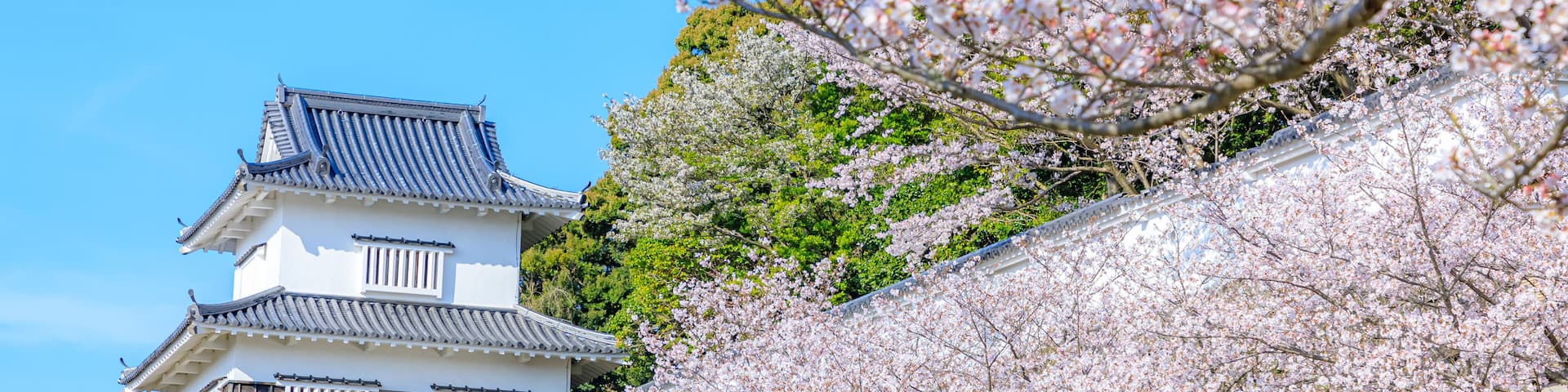 春の大村公園 長崎県大村市 Omura Park in spring. Nagasaki Pref, Oomura city.