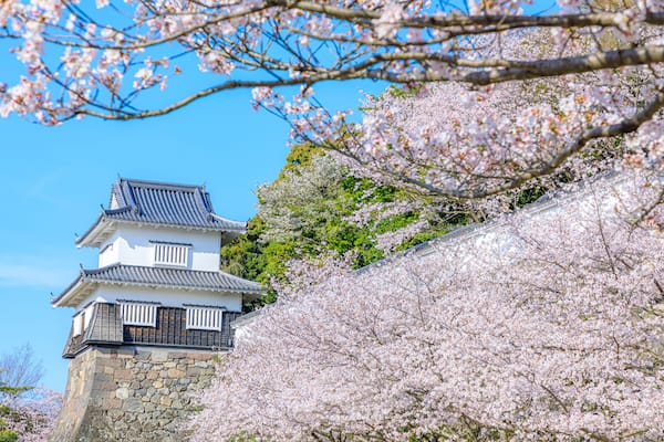 春の大村公園 長崎県大村市 Omura Park in spring. Nagasaki Pref, Oomura city.