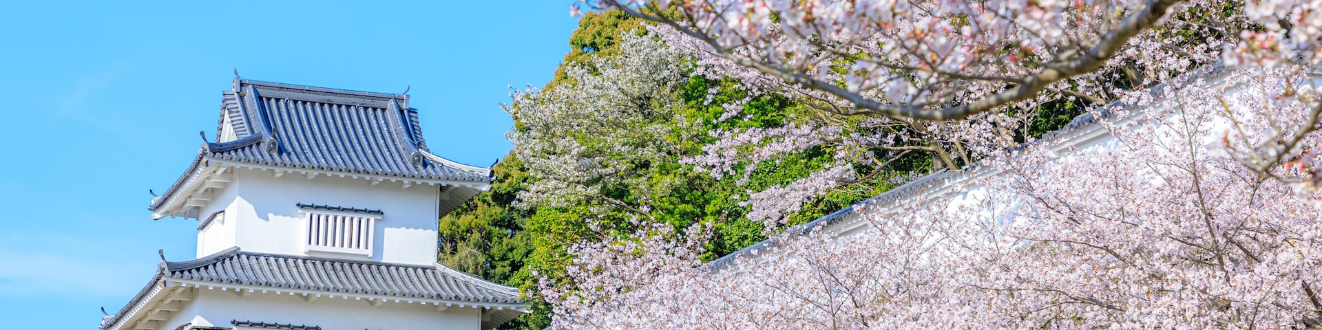 春の大村公園 長崎県大村市 Omura Park in spring. Nagasaki Pref, Oomura city.