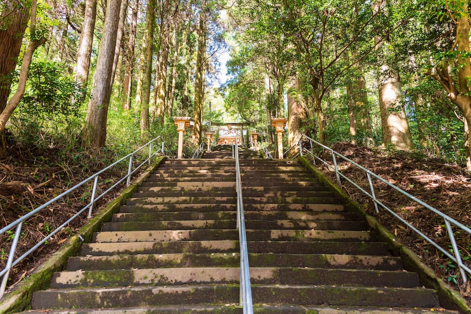A set of stone steps leading up a forested hill with metal railings.