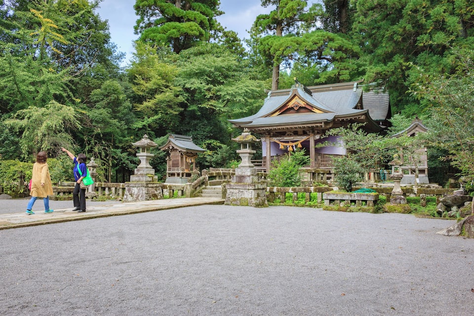 Een traditionele Japanse tempel, omringd door weelderige begroeiing.