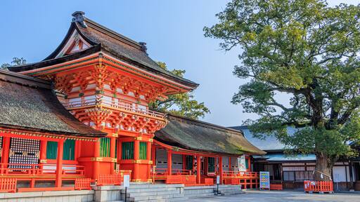 春の宇佐神宮 大分県宇佐市 Usazinguu in spring Ooita-ken Usa city