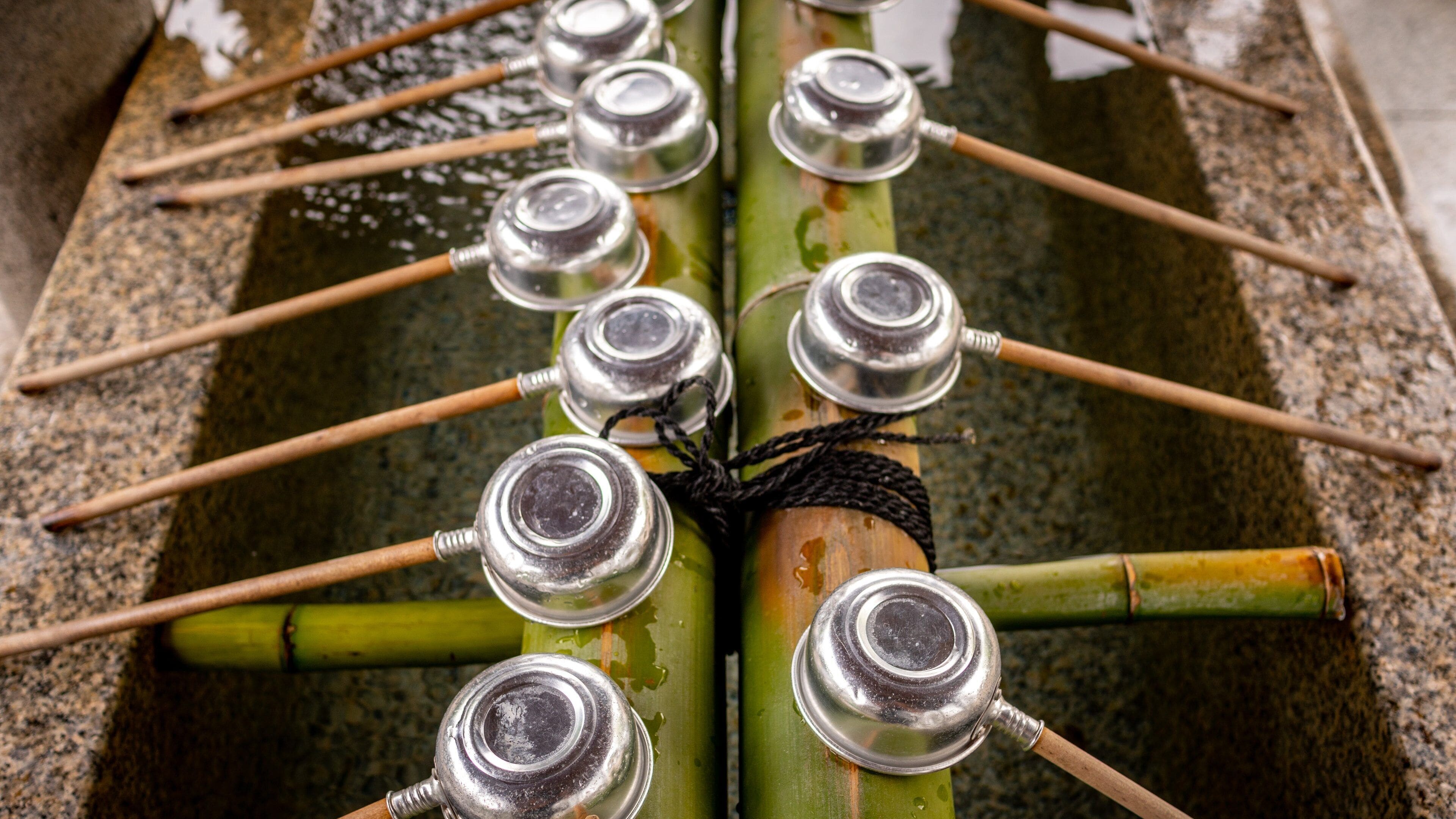 Isshinji Temple showing heritage elements and a fountain