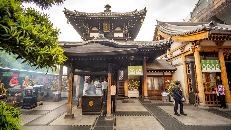 Isshinji Temple featuring street scenes, a temple or place of worship and heritage elements