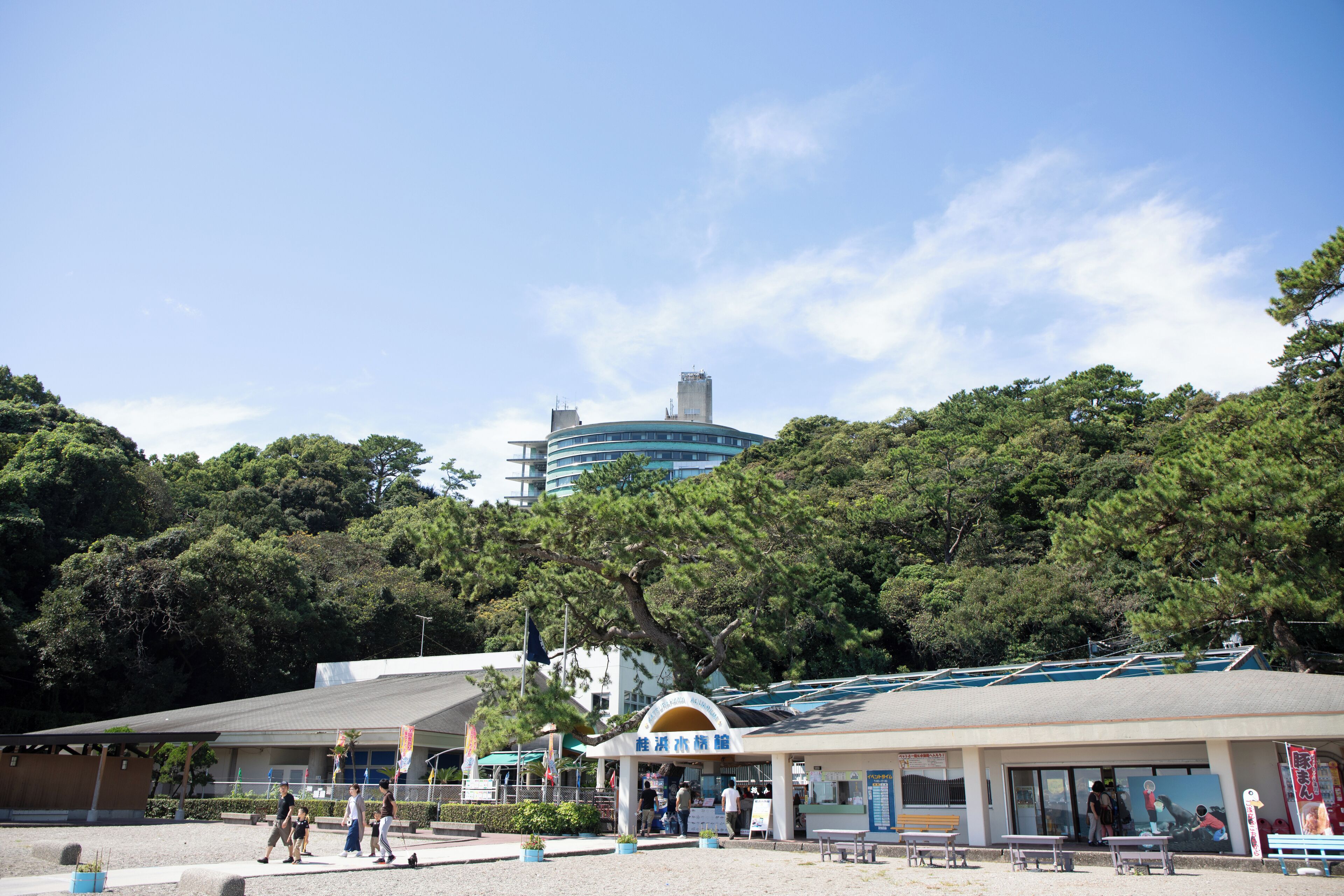 Aquarium de Katsurahama