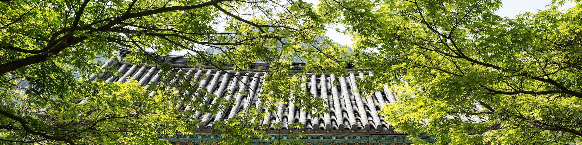 A traditional Korean gate with intricate designs and a signboard.