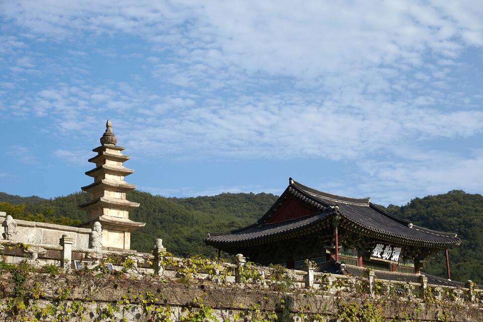 A traditional pagoda and a temple with a mountain backdrop.
