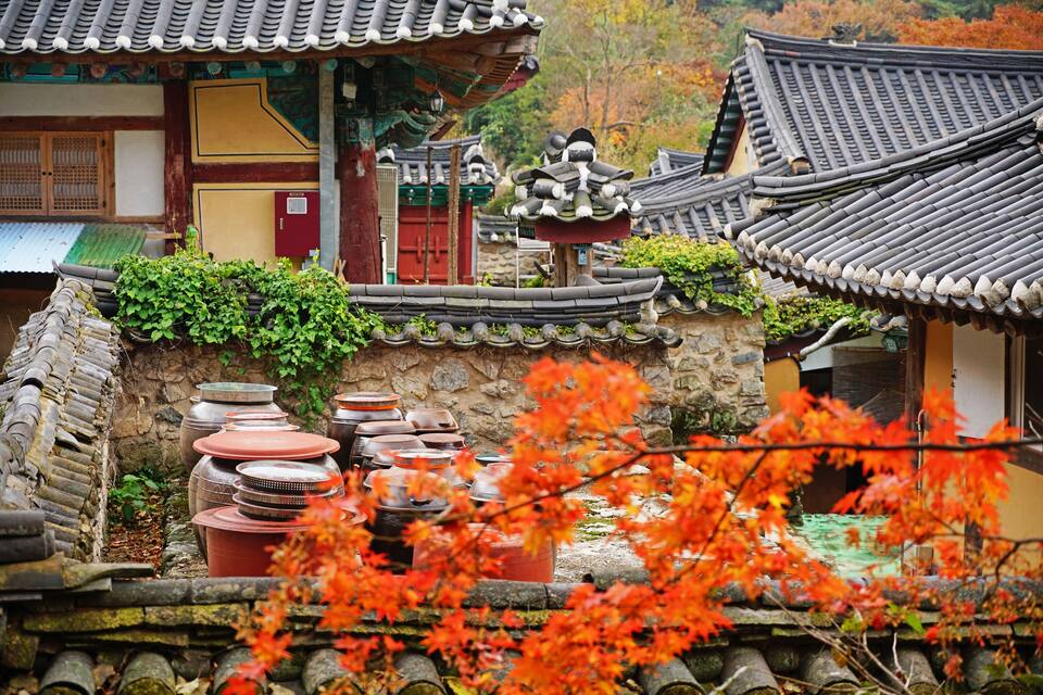 A traditional Korean building with tiled roofs and stone walls, surrounded by autumn foliage.