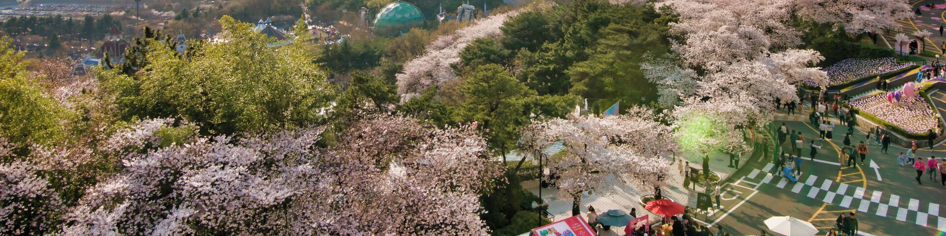 Daegu_EWorld_553248621532769286_06