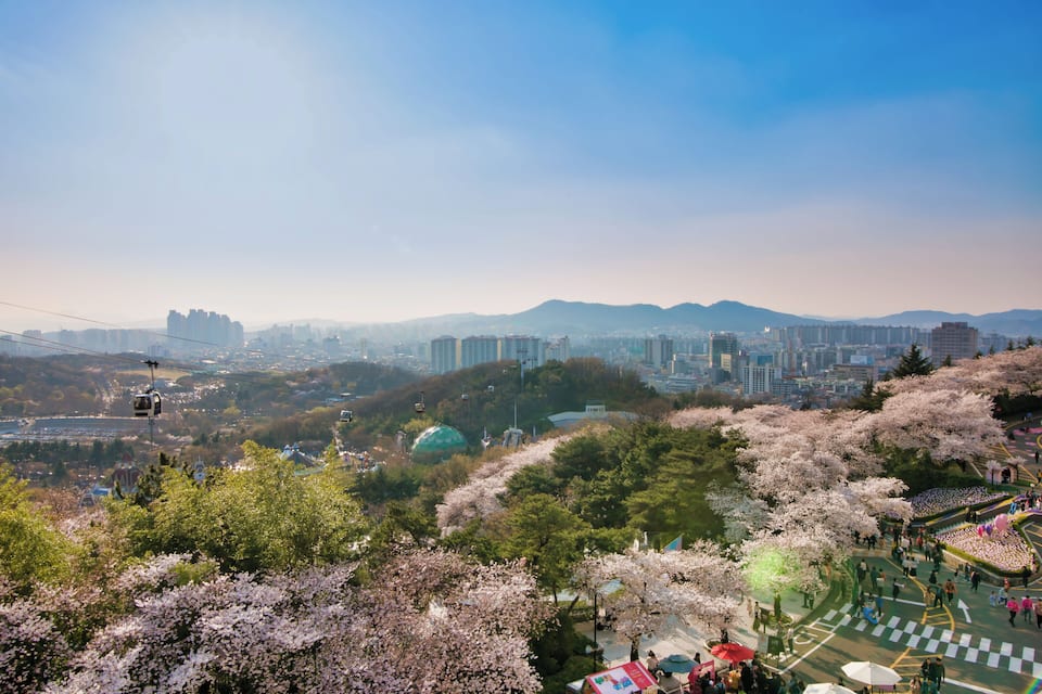 Paisagem urbana com teleférico, cerejeiras em flor e um parque.
