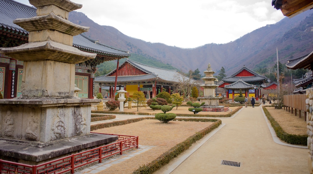 Unmunsa temple is silent and meditative place. Winter makes it more.