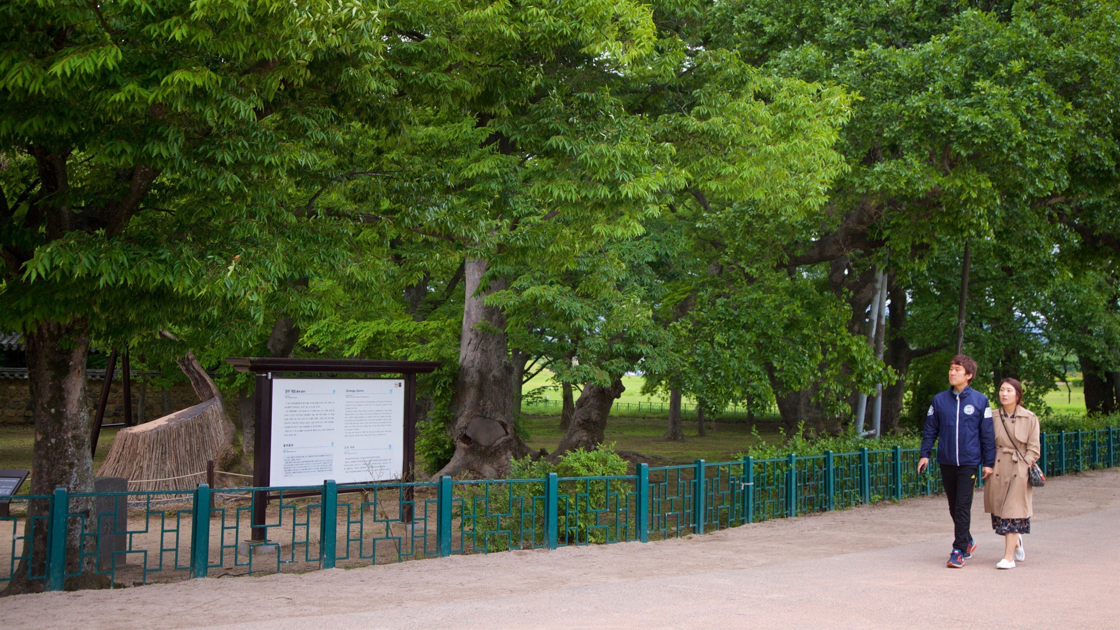 Gyerim Forest which includes a park and signage as well as a couple