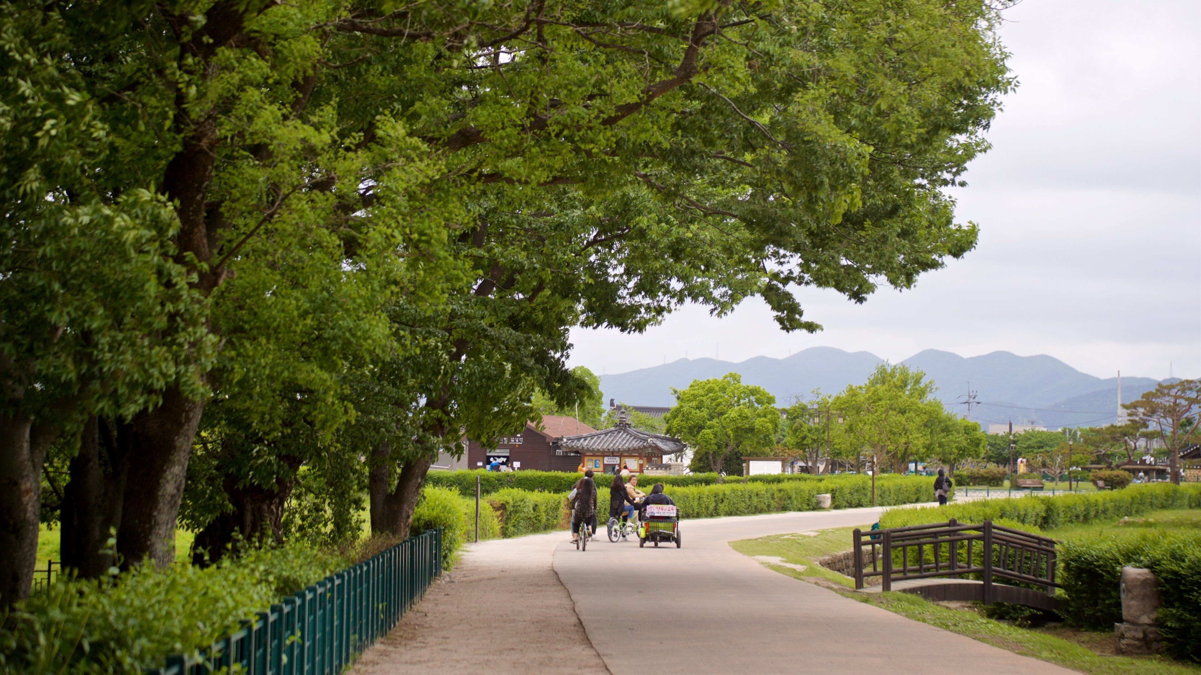 Gyerim Forest featuring a park