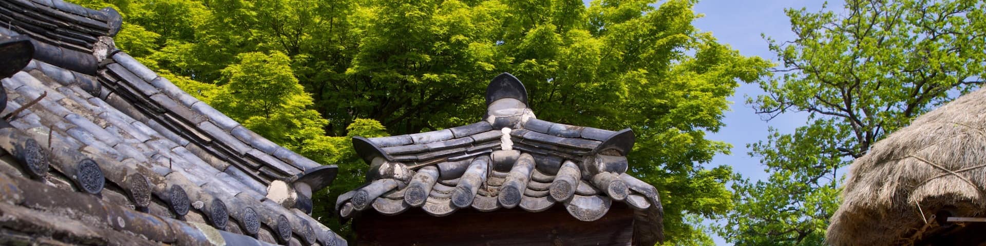 Andong Hahoe Folk Village featuring a small town or village and heritage elements