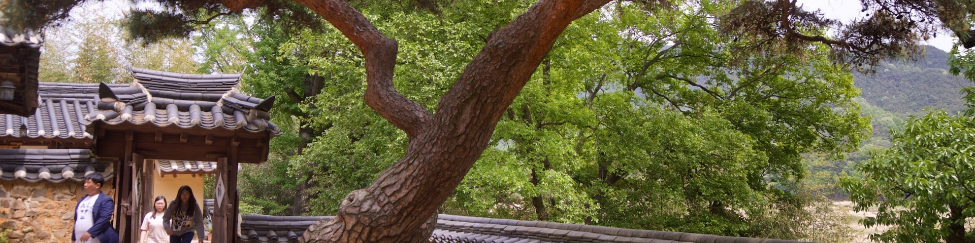 Ogyeonjeongsa House featuring a garden and heritage elements as well as a small group of people