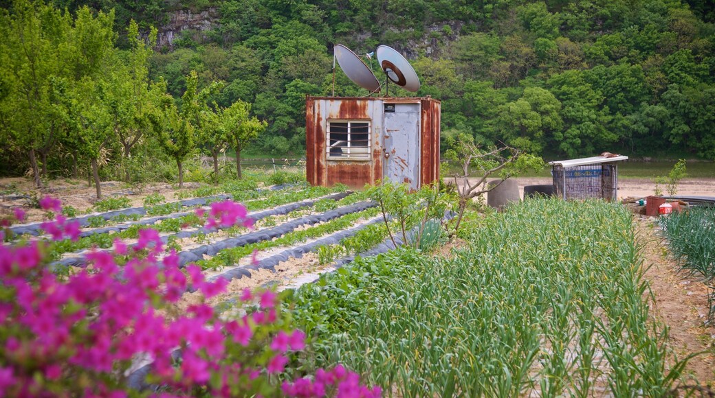 Byeongsanseowon Confucian Academy which includes wildflowers and farmland