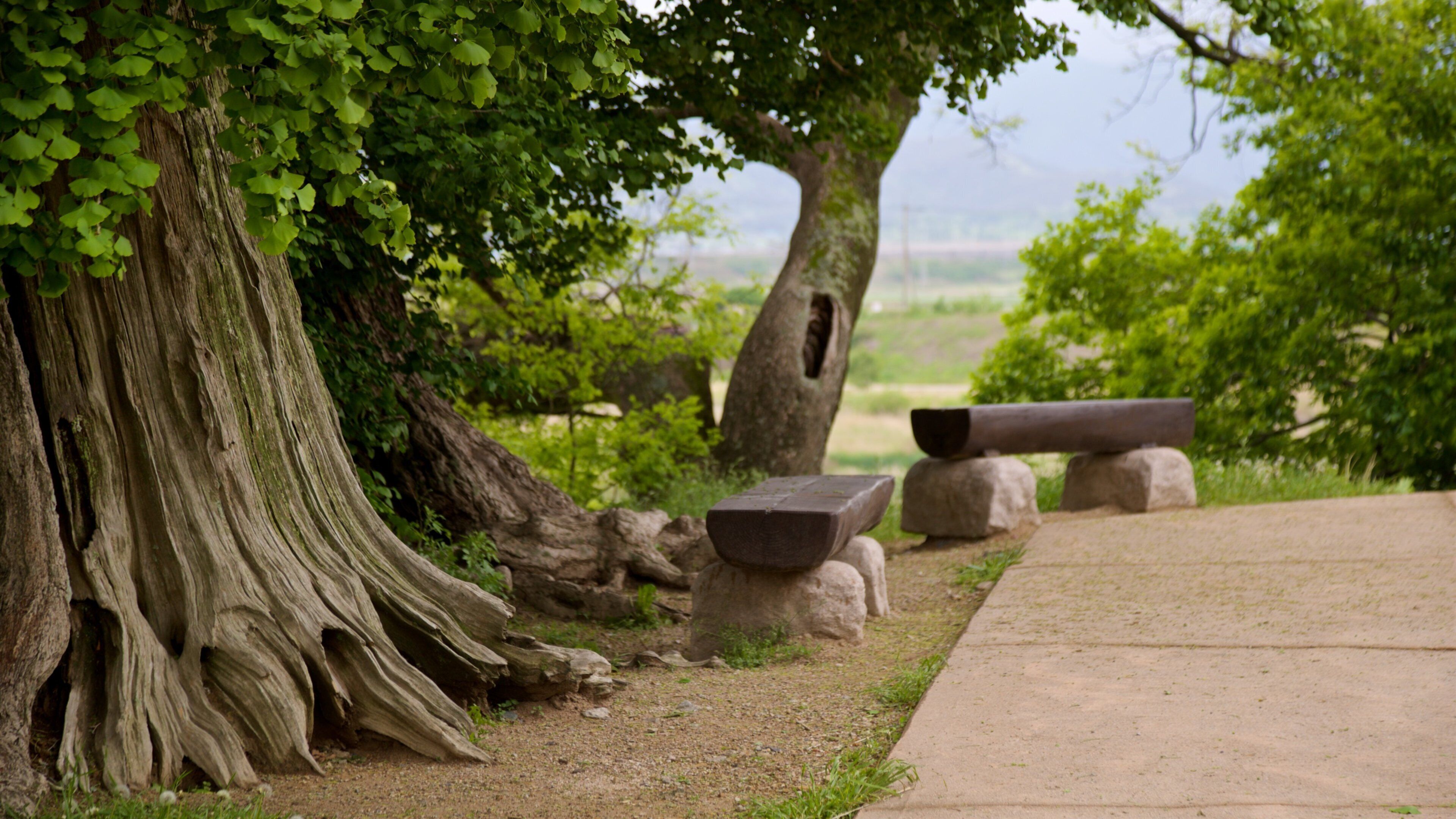 Yangdong Folk Village featuring a garden