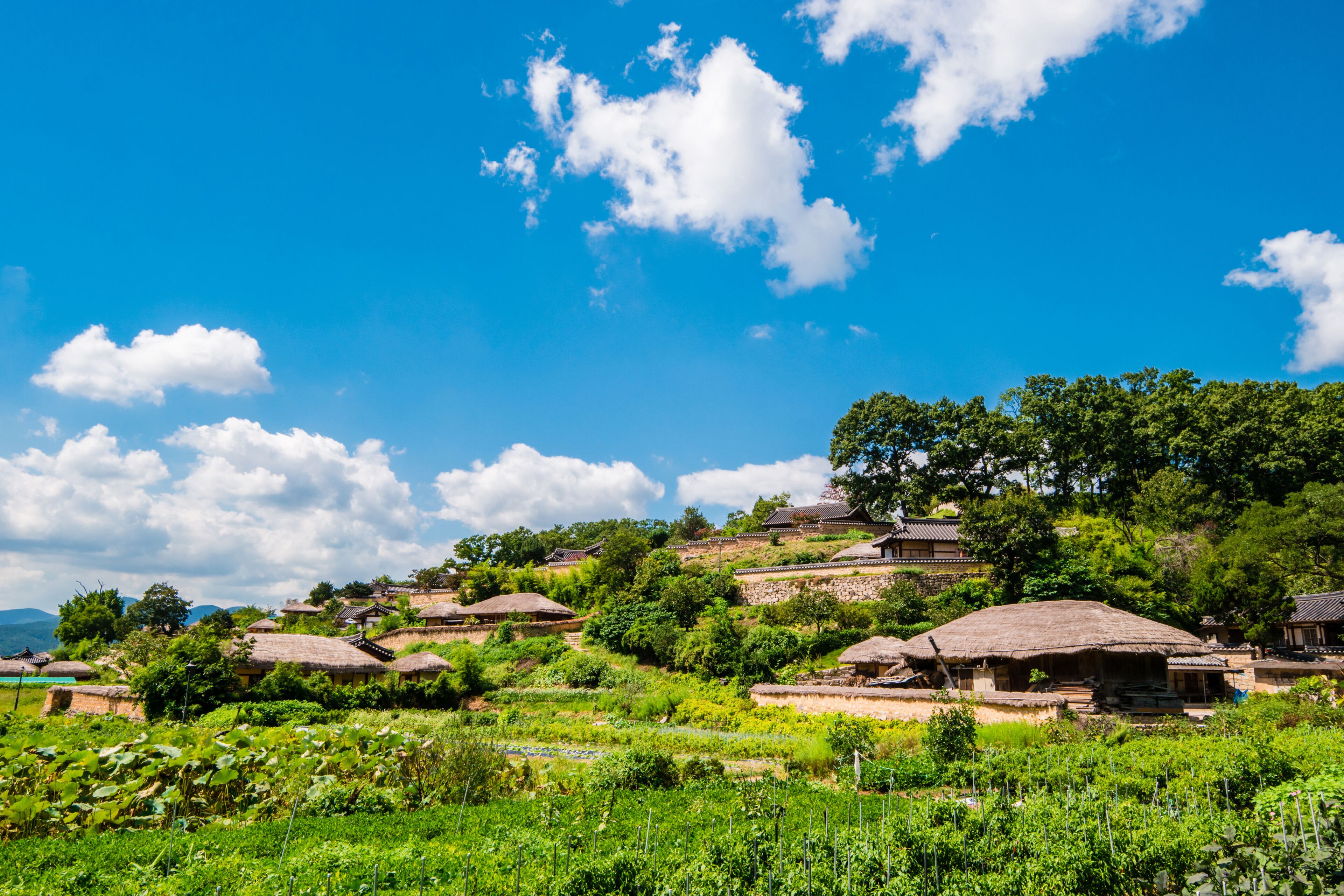 A village with traditional thatched-roof houses, lush greenery, and a clear blue sky.