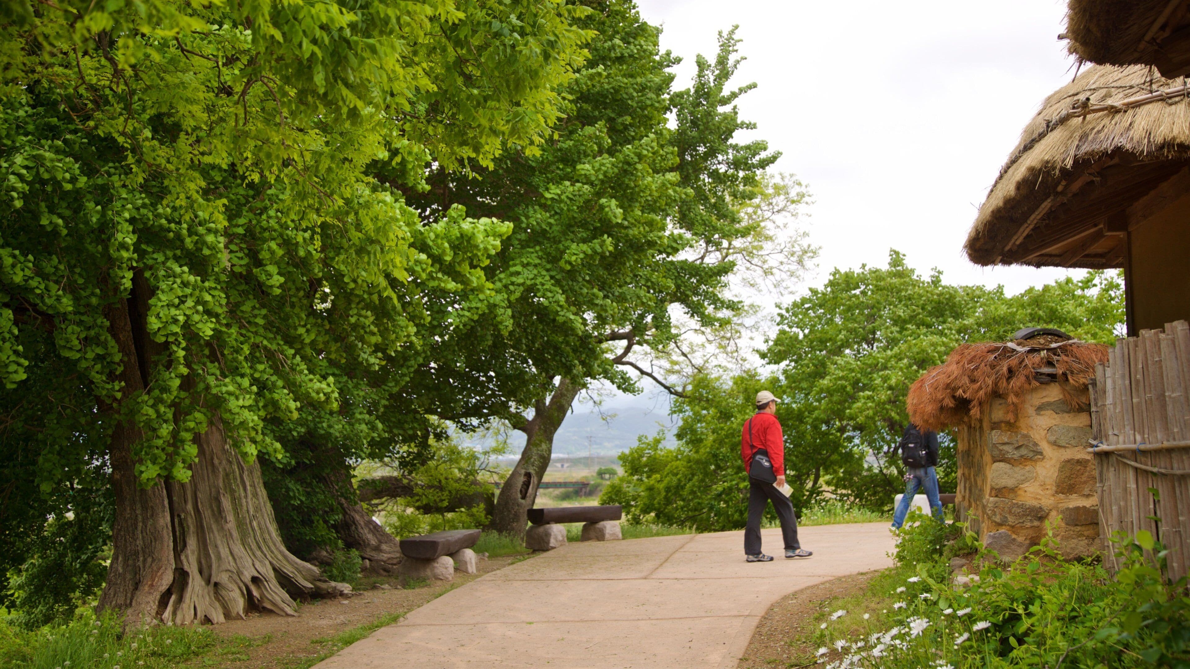Yangdong Folk Village which includes a garden as well as a couple