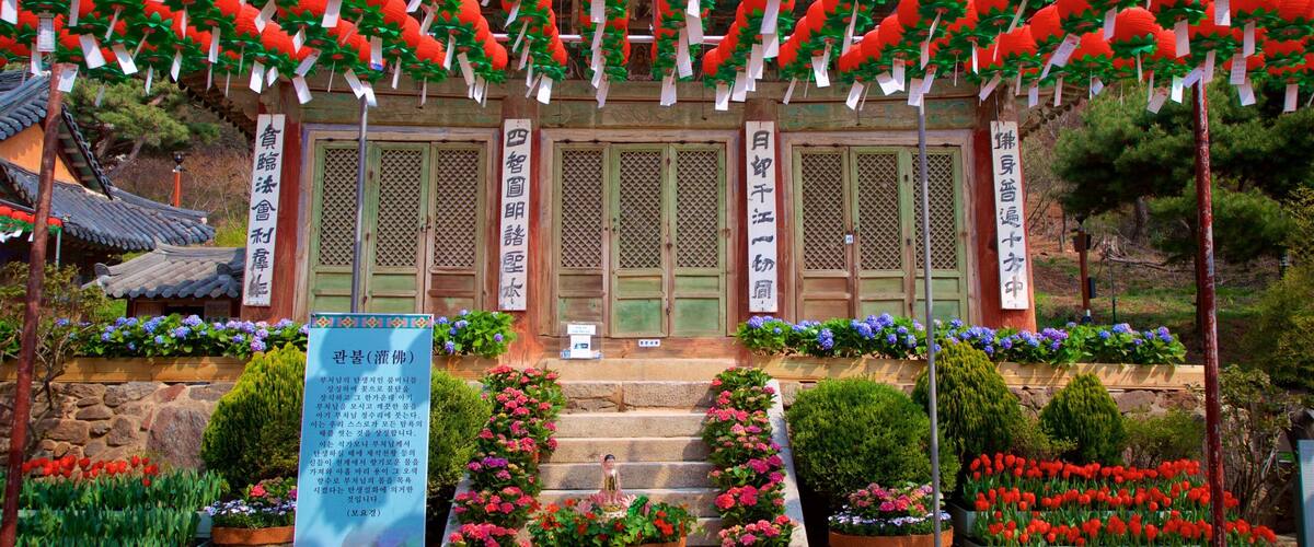Jeondeungsa Temple featuring wildflowers, a park and signage