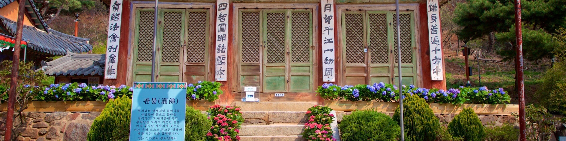 Jeondeungsa Temple featuring wildflowers, a park and signage