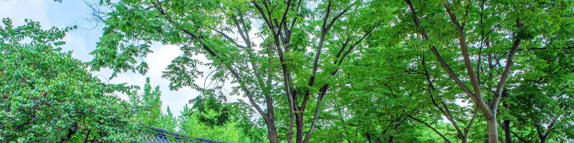 JT0CM1 Korean Folk Village,Traditional Korean style architecture in Suwon,Korea