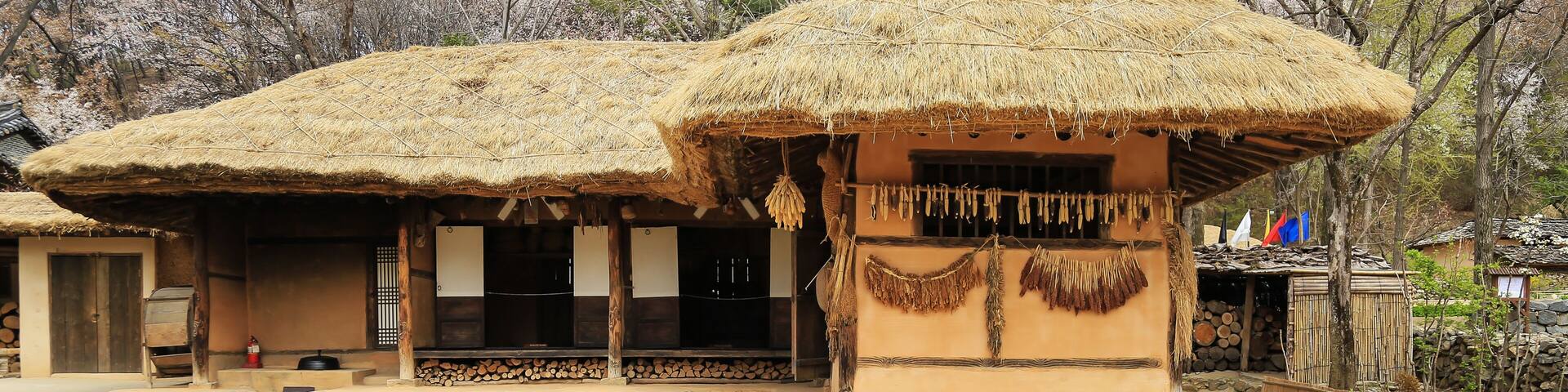 Traditional thatched-roof huts, a sandy courtyard, and a backdrop of leafless trees.