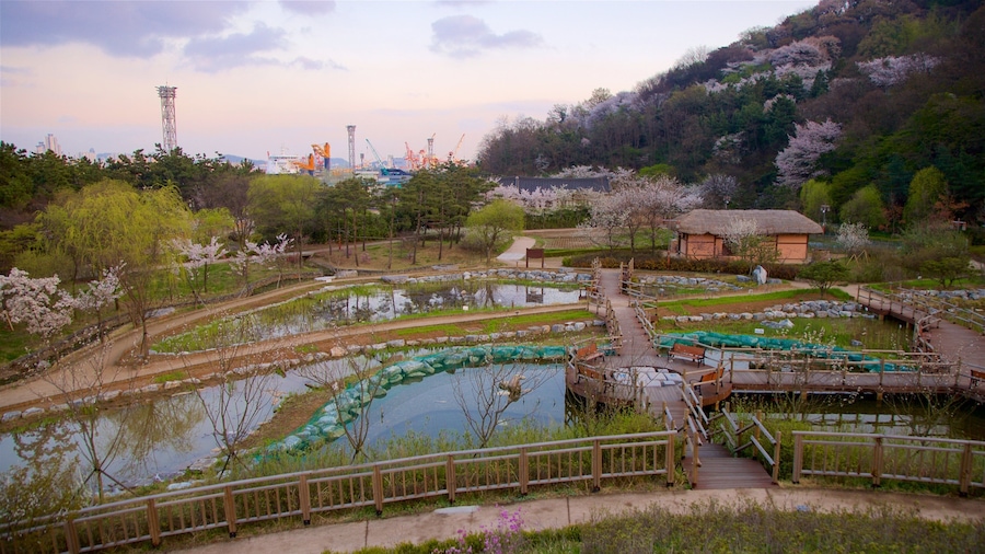 Parque tradicional Wolmi que incluye un atardecer, flores silvestres y vista panorámica