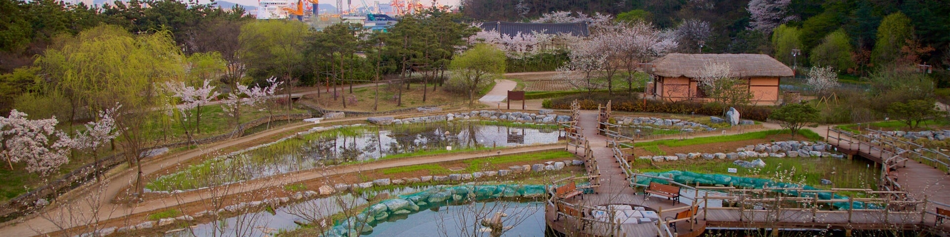 Wolmi Traditional Park which includes a park, wildflowers and a sunset