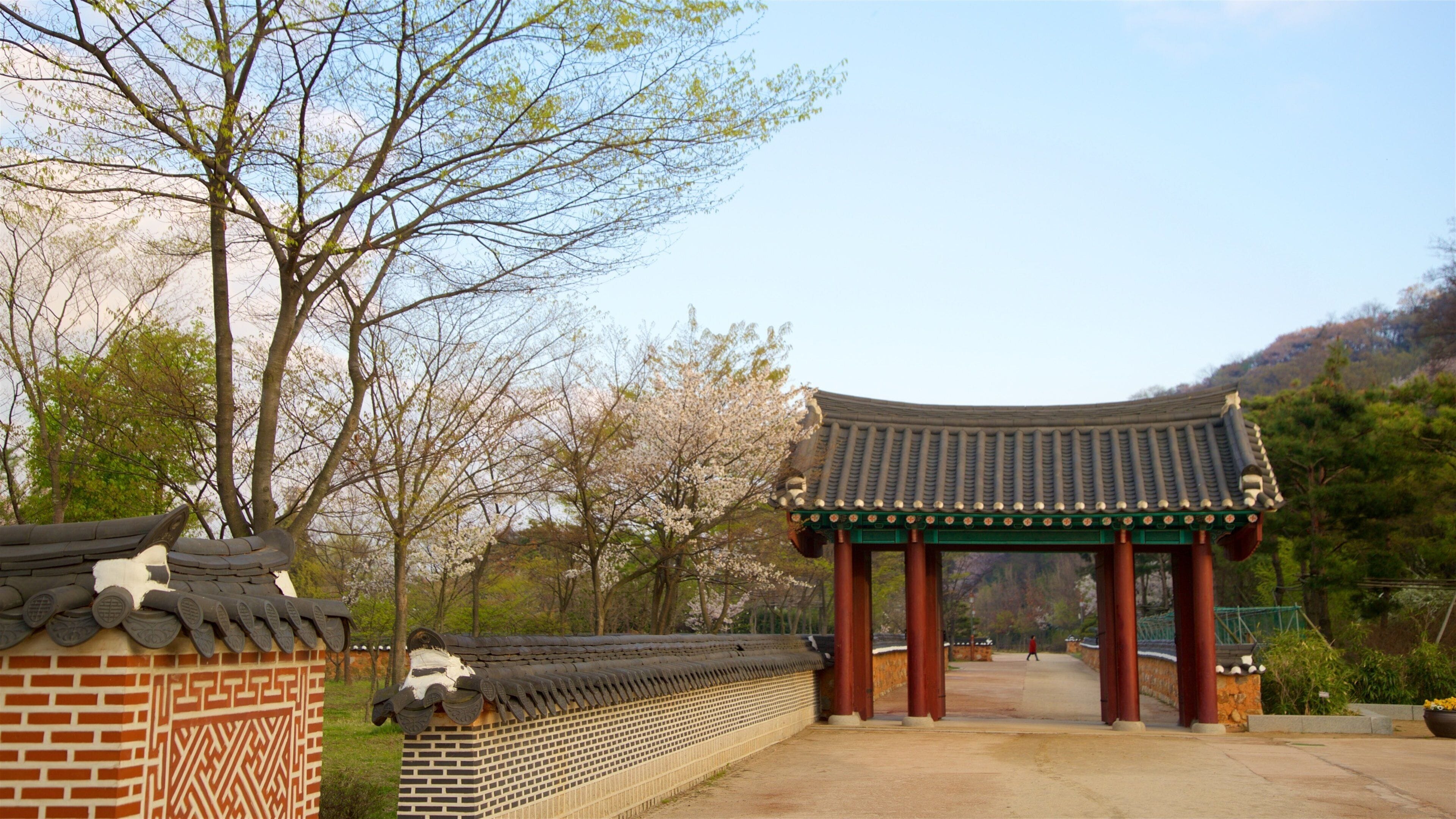 Wolmi Traditional Park showing a park and wildflowers