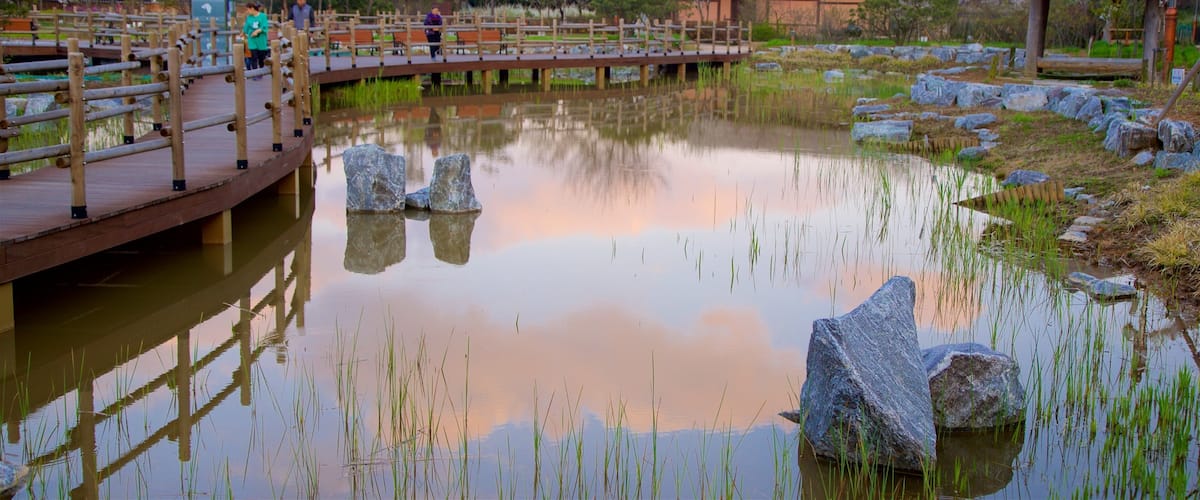 Wolmi Traditional Park which includes a sunset, a pond and a park