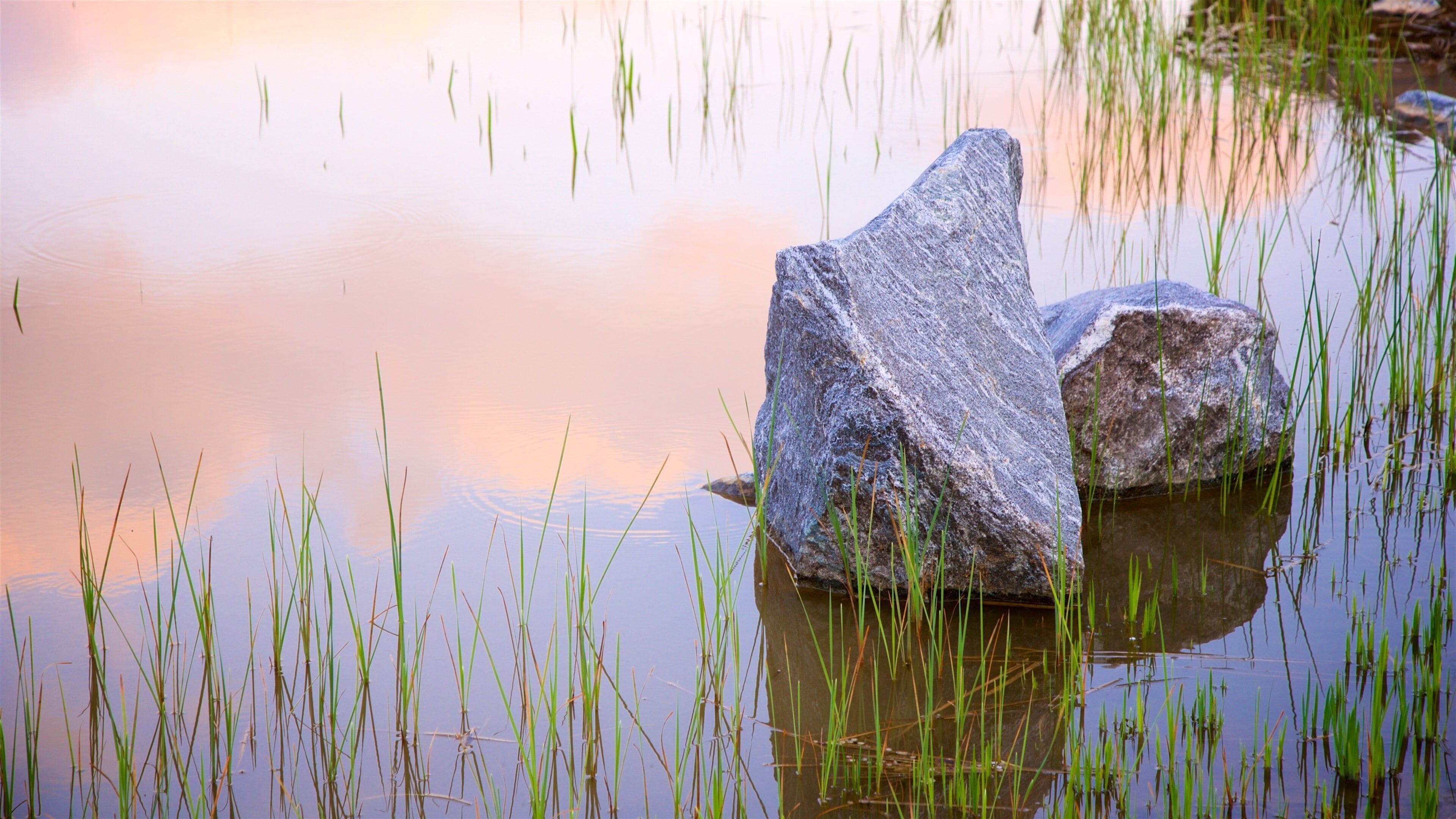 Wolmi Traditional Park showing a pond and a sunset
