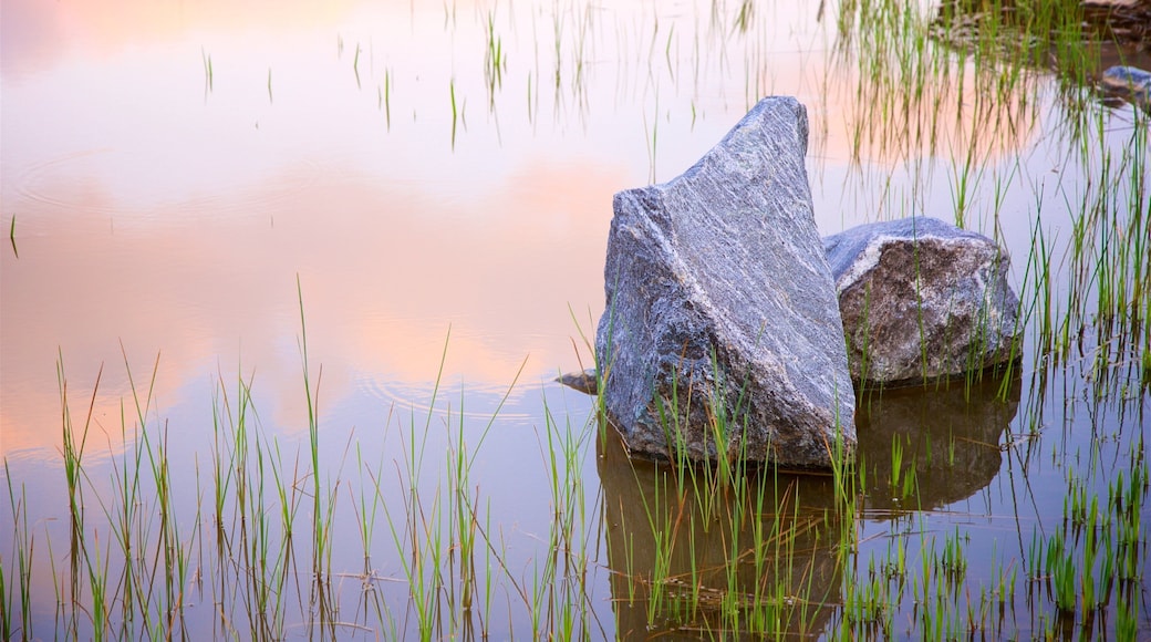 Wolmi Traditional Park showing a pond and a sunset