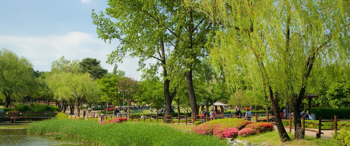 Parque Yongsan que incluye un estanque, un jardín y flores silvestres