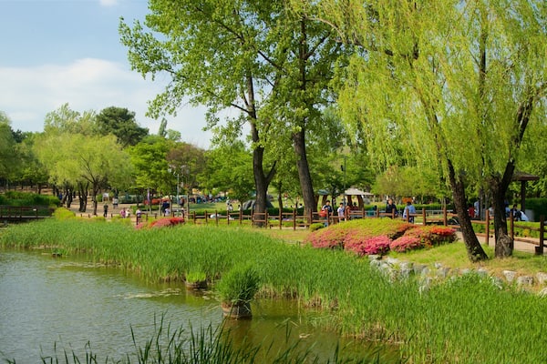Parque Yongsan que incluye un estanque, un jardín y flores silvestres