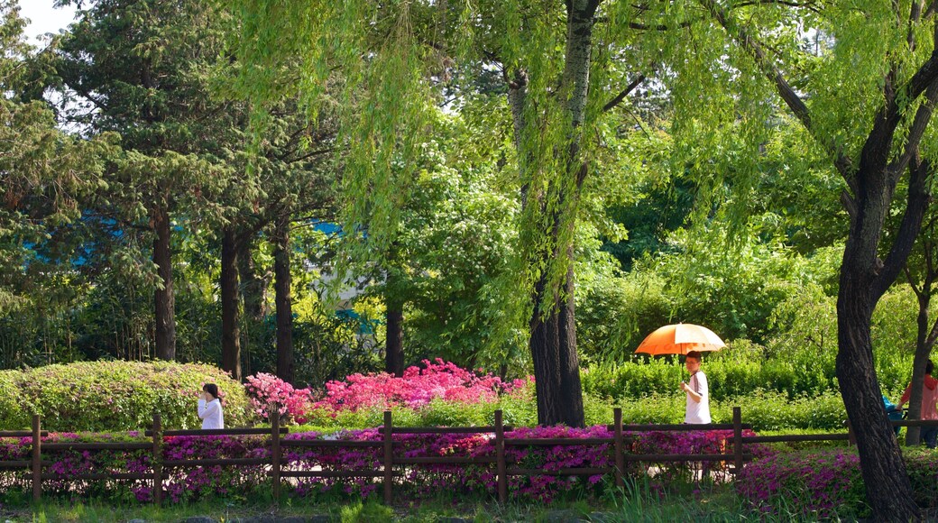 Parc Yongsan