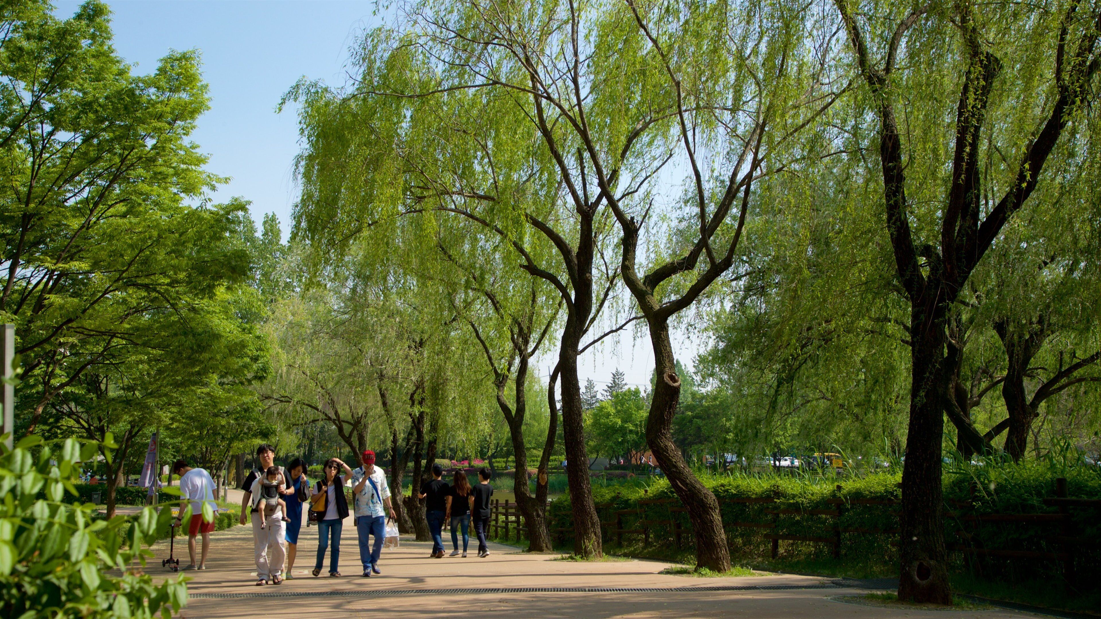 Yongsan Park featuring a park as well as a small group of people