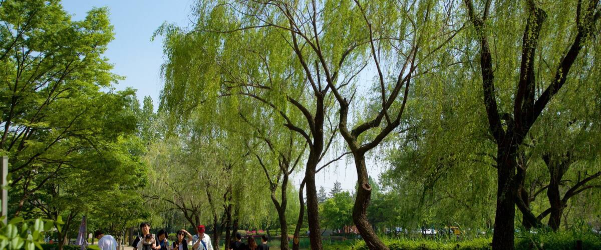 Yongsan Park featuring a park as well as a small group of people