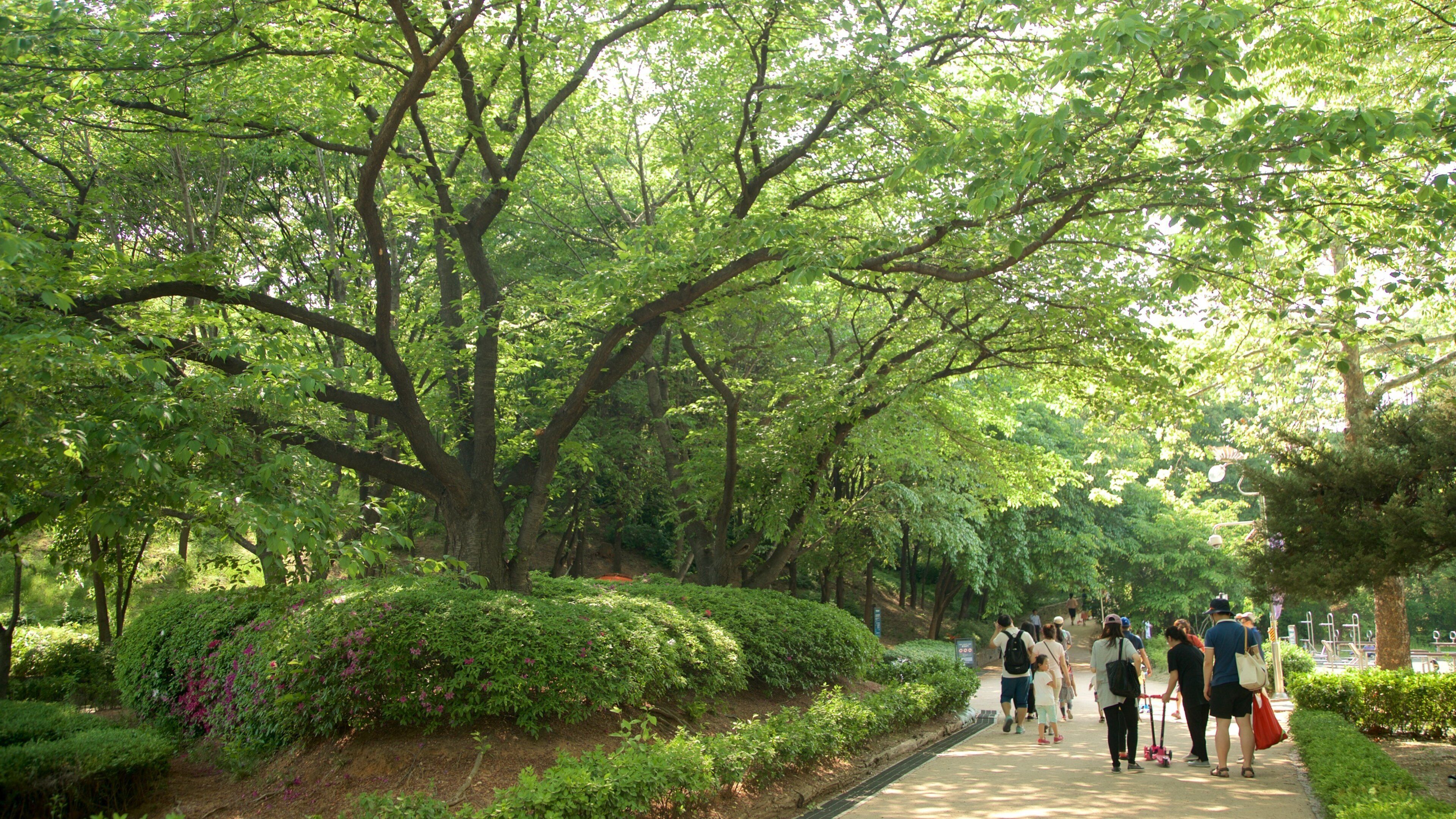 Yongsan Park featuring a park as well as a small group of people