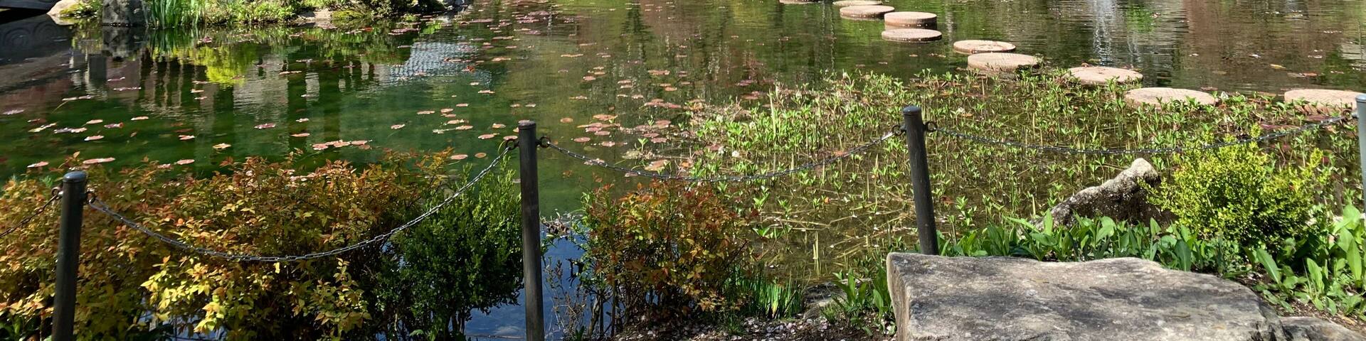The Garden of Morning Calm