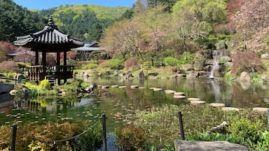 The Garden of Morning Calm