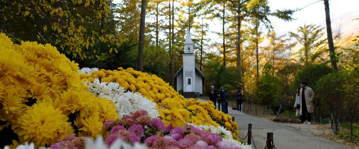 3 subway rides, a couple of hours from seoul, and a shuttle bus to get here but well worth it..tip: tasty food in their resto..must try