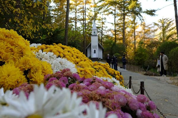3 subway rides, a couple of hours from seoul, and a shuttle bus to get here but well worth it..tip: tasty food in their resto..must try
