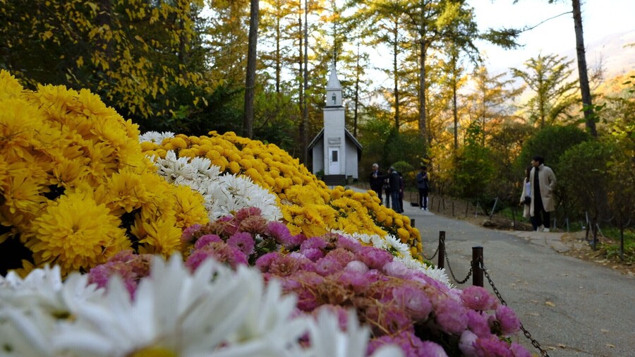3 subway rides, a couple of hours from seoul, and a shuttle bus to get here but well worth it..tip: tasty food in their resto..must try