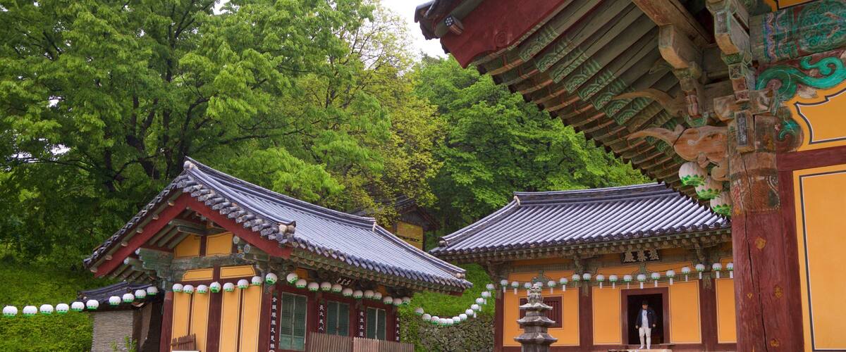 Bongjeongsa Temple showing heritage elements and a temple or place of worship