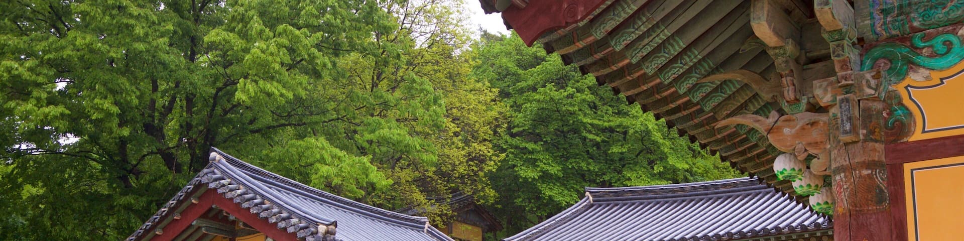 Traditional Japanese buildings with tiled roofs and lanterns.