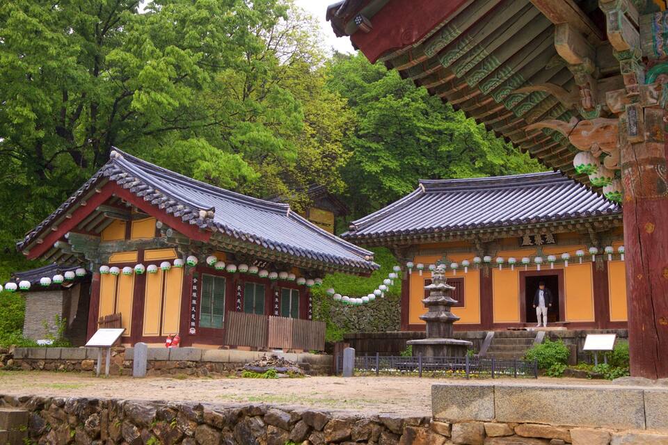 Traditionele Japanse gebouwen met pannendaken en lantaarns.
