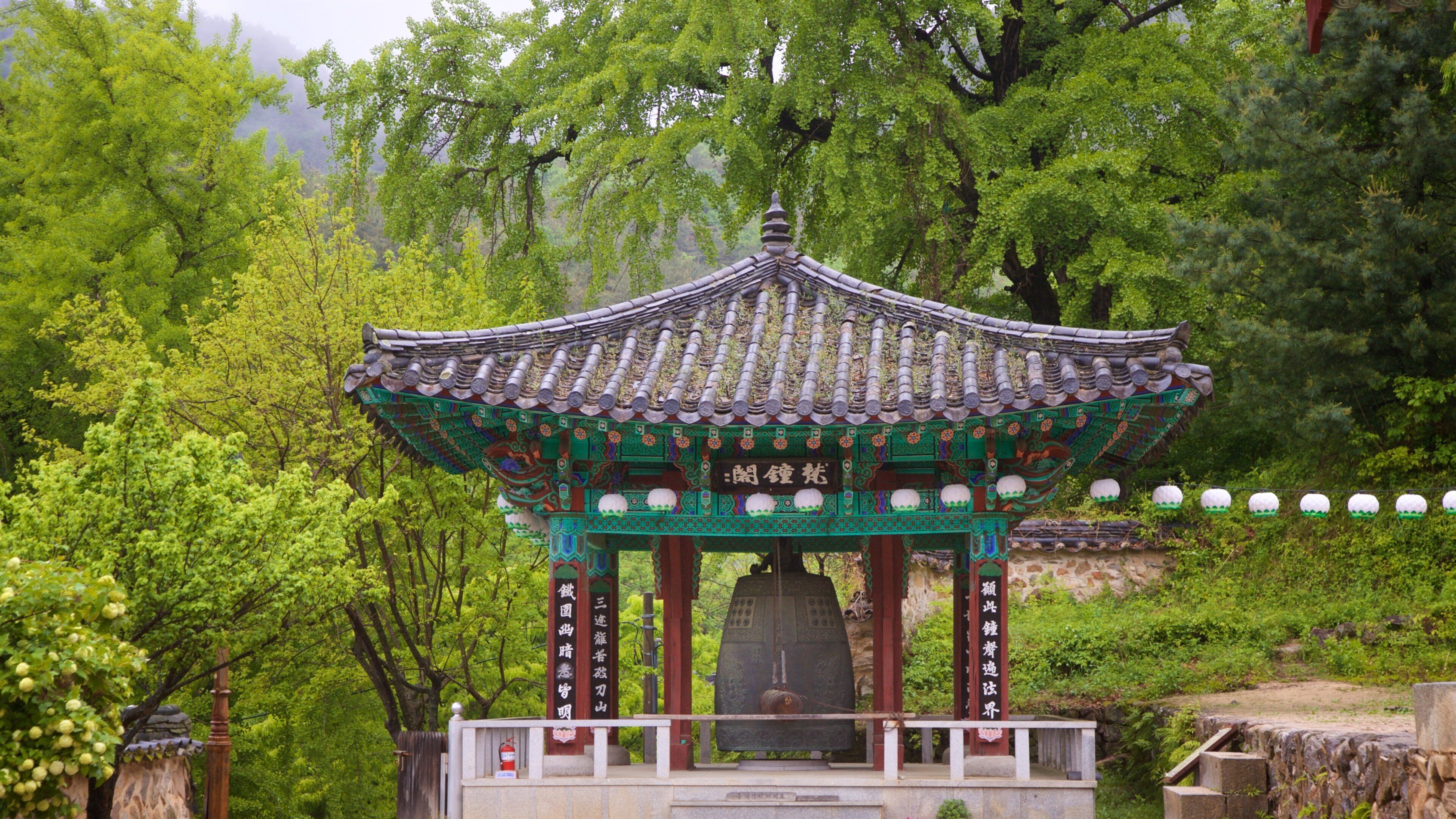 Bongjeongsa Temple which includes heritage elements