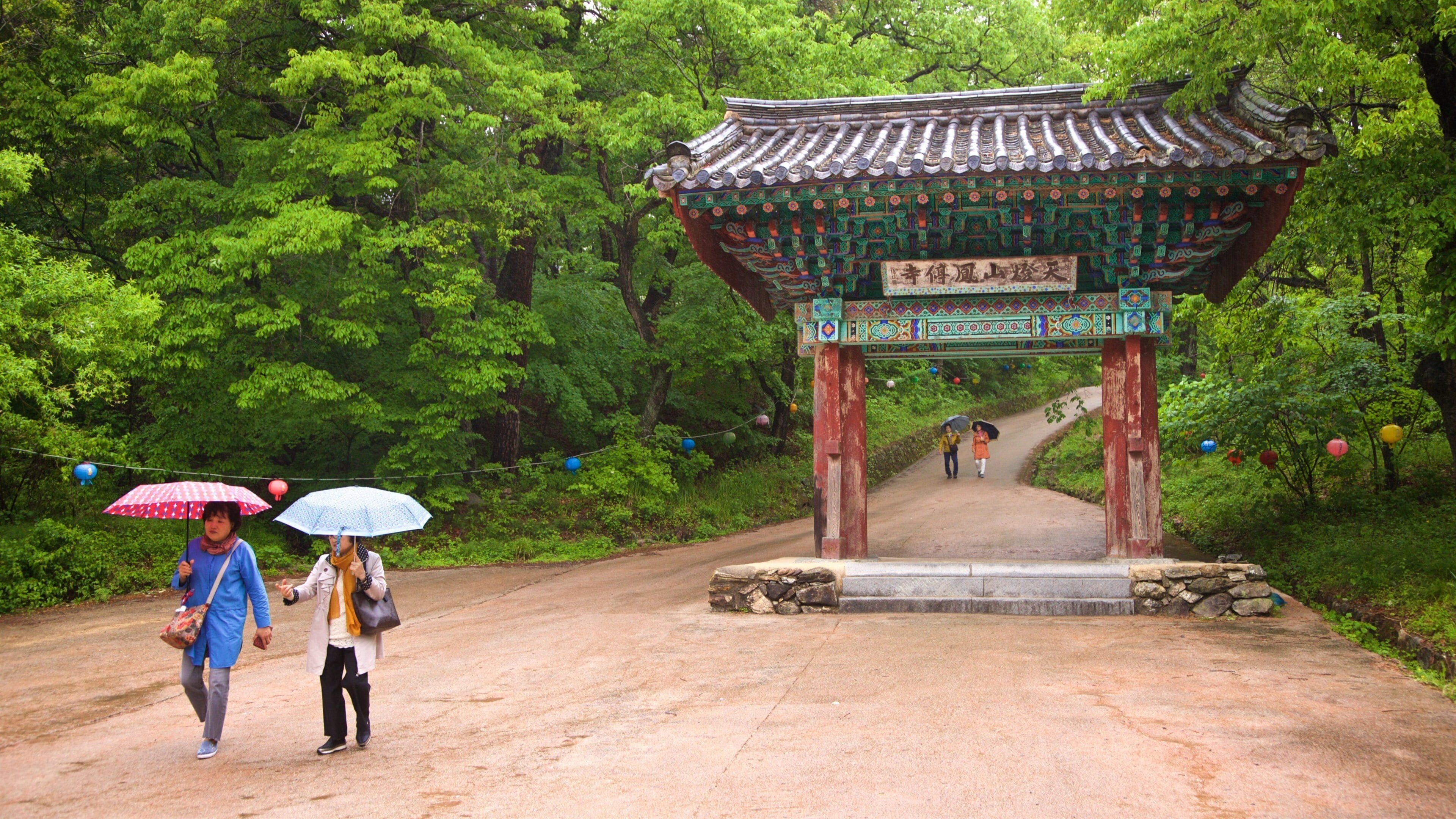 A traditional Korean pavilion with intricate roof tiles and colorful decorations, surrounded by lush greenery and a stone pathway.